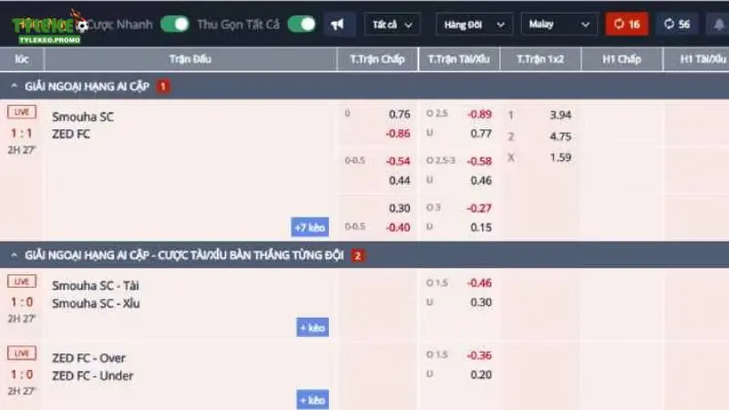 Tìm hiểu tỷ lệ cược: Decimal, Malaysia, Hongkong, Macau