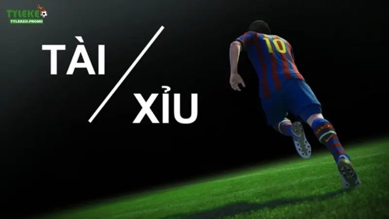 Kèo tài xỉu 1/2 là gì?