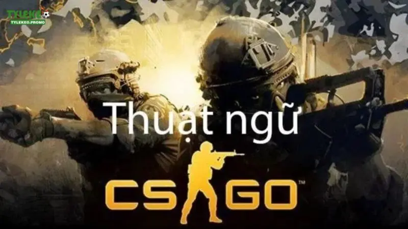 Thuật ngữ CSGO là gì?